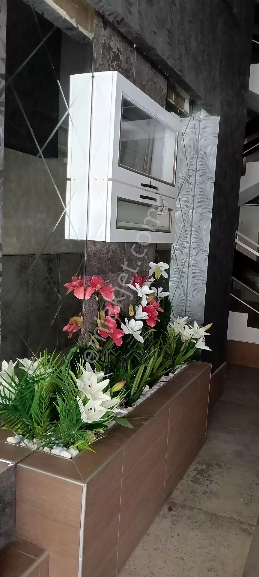 Asansör+doğalgaz+orta Kat+çift Klima Ve Banyo-wc-su Arıtıcı - Görsel 2