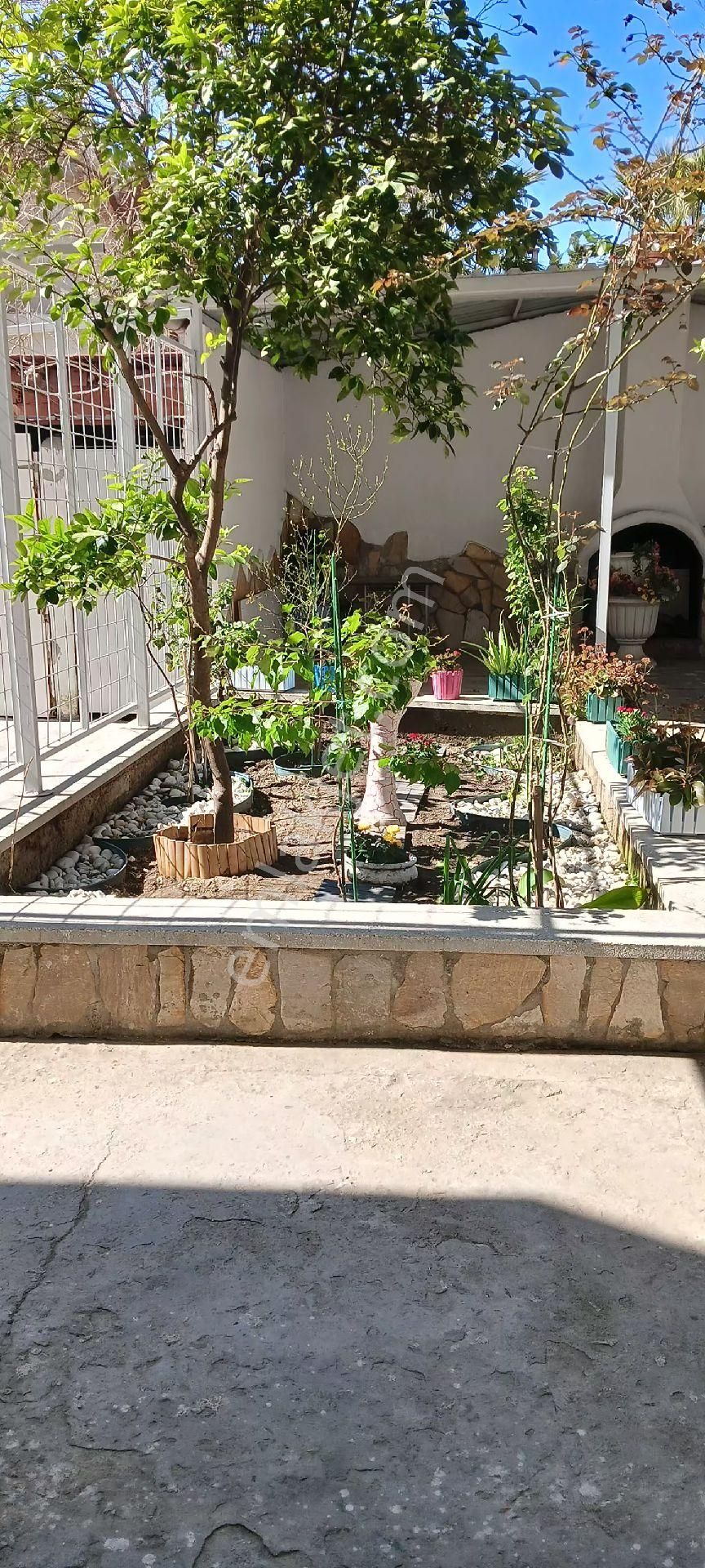 Asansör+doğalgaz+orta Kat+çift Klima Ve Banyo-wc-su Arıtıcı - Görsel 3