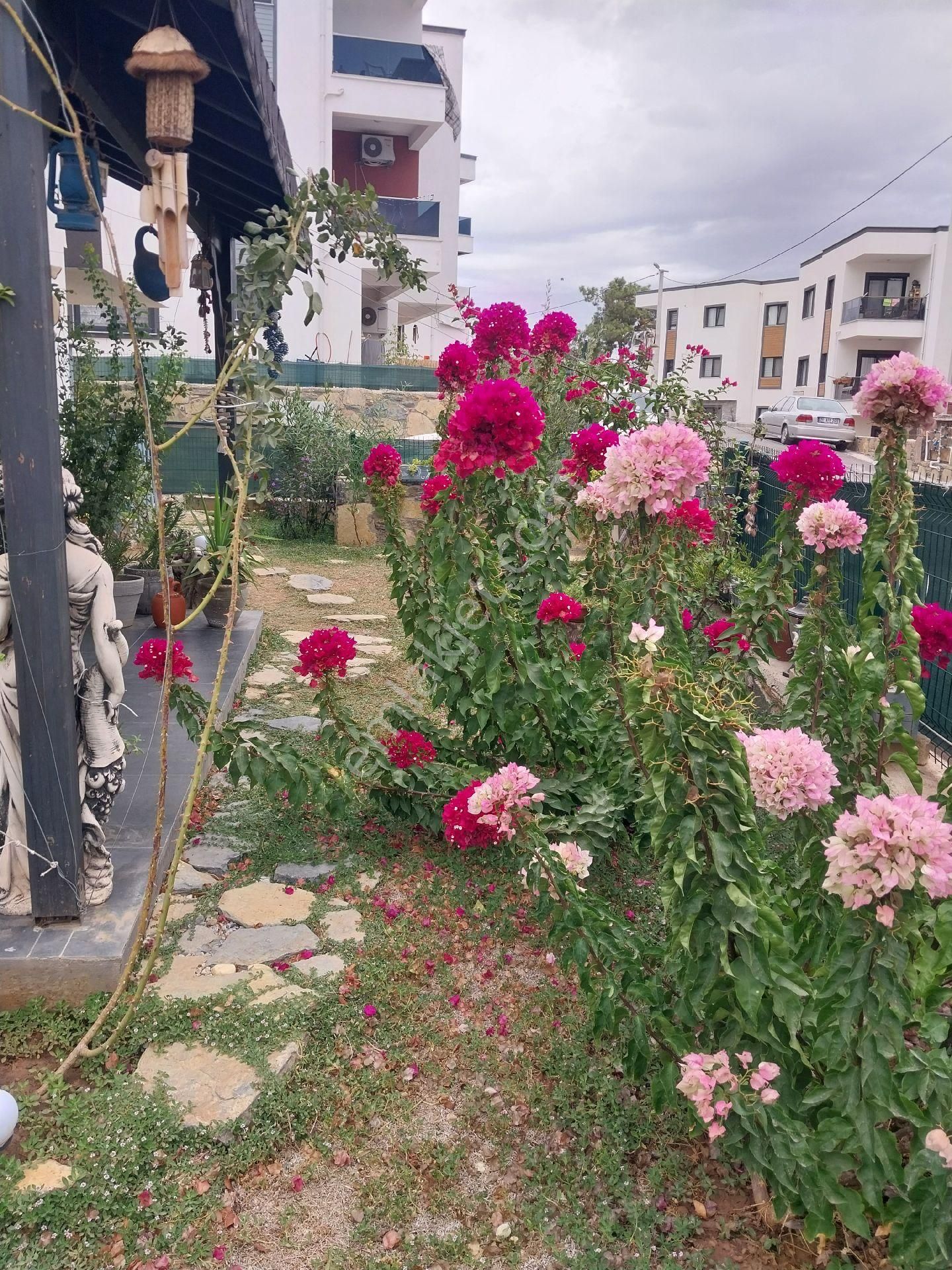 Bodrum Mumcular Mah Mülk Sahibinden Kiralık Bahçe Katı - Görsel 7