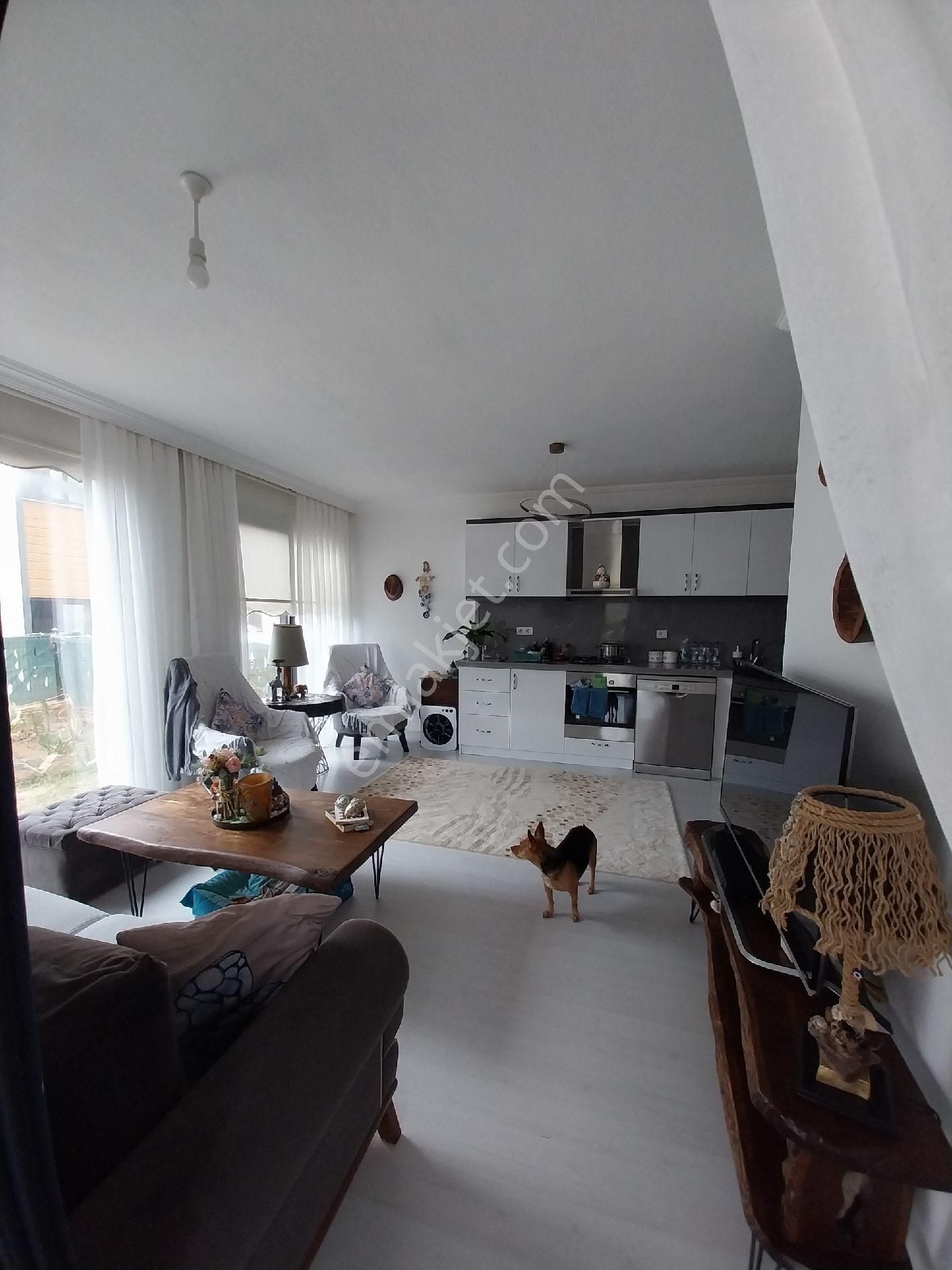 Bodrum Mumcular Mah Mülk Sahibinden Kiralık Bahçe Katı - Görsel 19