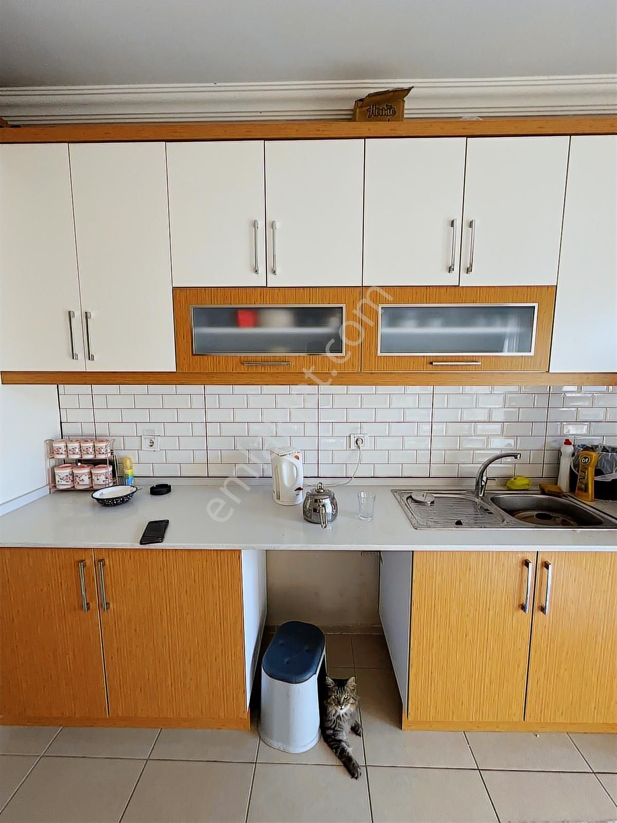 Doğadan Milas Gümüşlük Çarşıda Kapalı Mutfk 2+1 Depolu Daire - Görsel 6