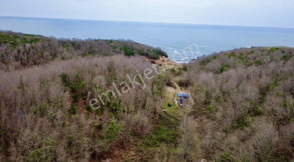 Acr Gyd'den Şile Kabakoz'da Plaj İçerisin'de Satılık 515m2 Arsa