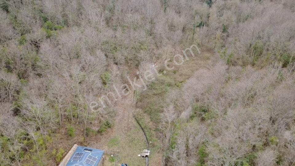 Acr Gyd'den Şile Kabakoz'da Plaj İçerisin'de Satılık 515m2 Arsa - Görsel 2