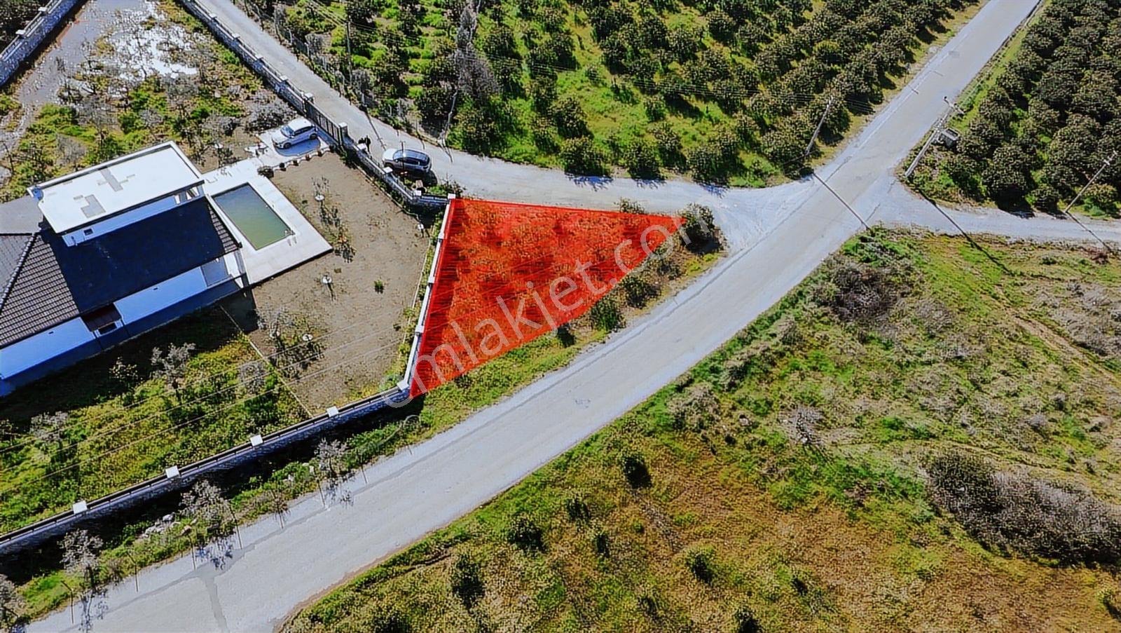 Eşsiz Mandalin Bahçesi - Görsel 12