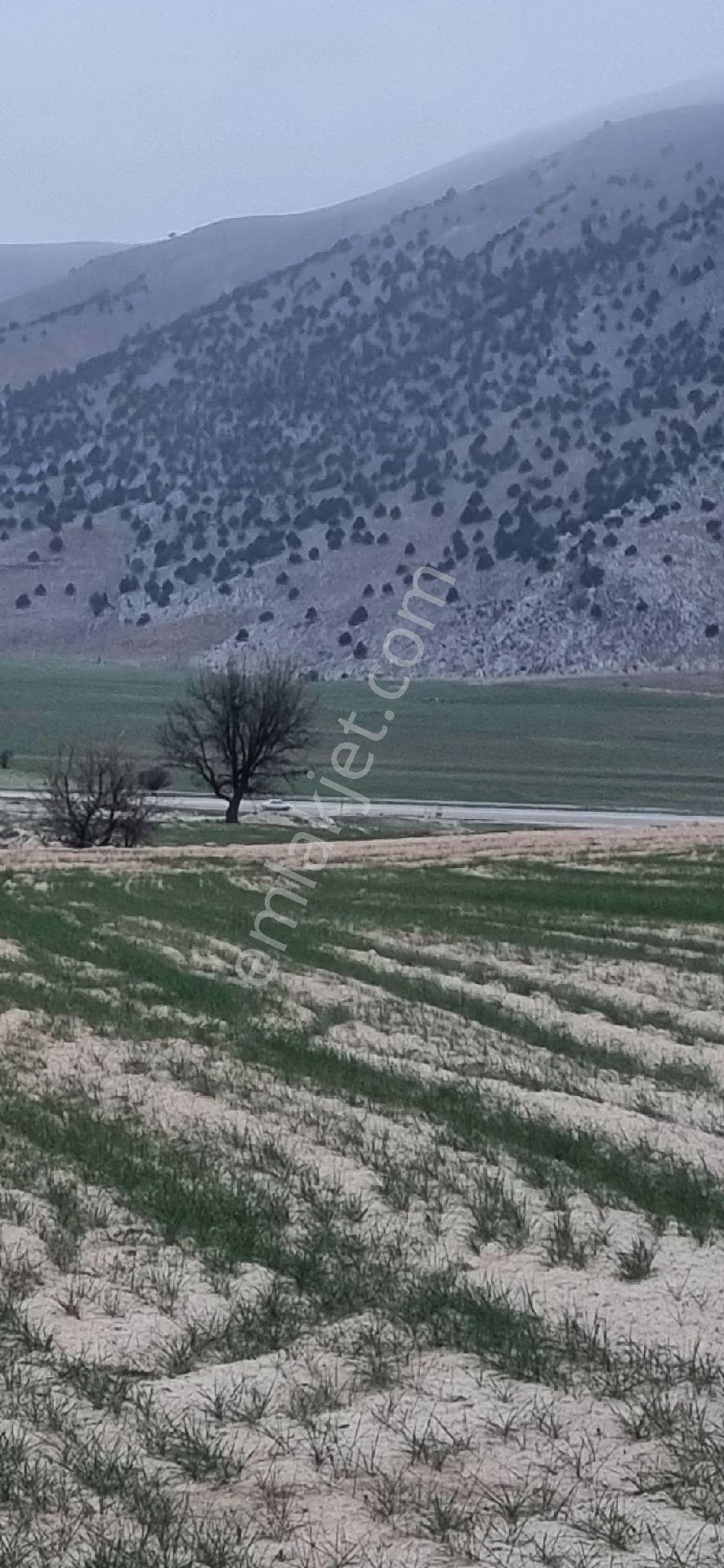 Korkuteli-elmalı Karayolu Üzerinde Sahibinden Satılık Tarla - Görsel 3