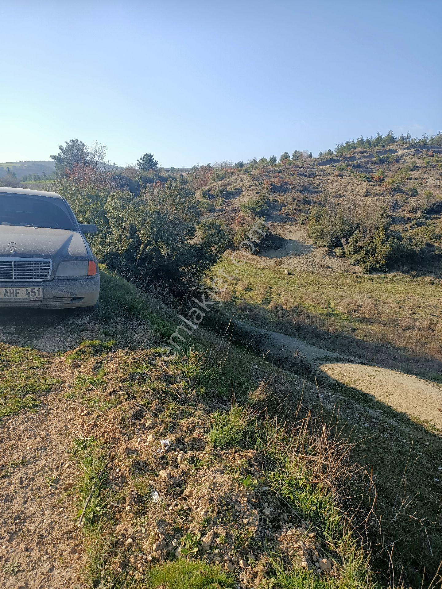 Bilecik Osmaneli Çiftlik Köyü Satılık 6600 Mk Tarla Asfalt Cepheli - Görsel 11