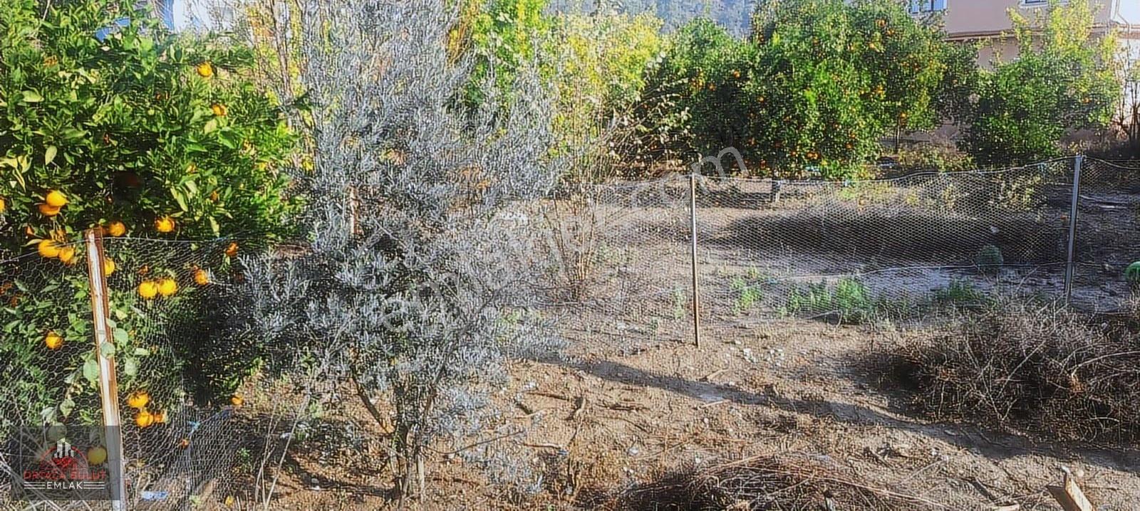 Muğla Ortaca Ekşiliyurt Mahallesin 486 M2 İmarlı Arsa Satılık - Görsel 2
