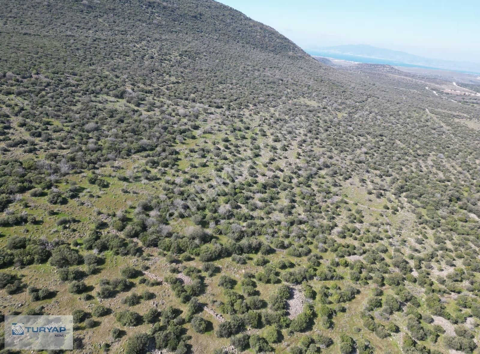 Kalabakta Fırsat Satılık Tarla - Görsel 10