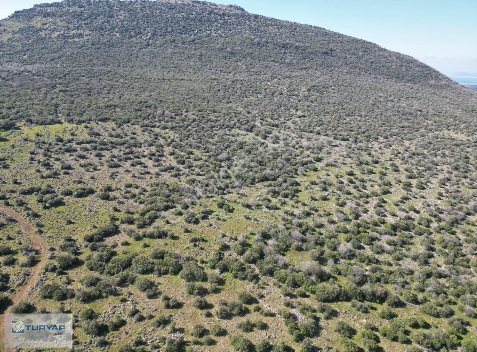 Kalabakta Fırsat Satılık Tarla - Görsel 4
