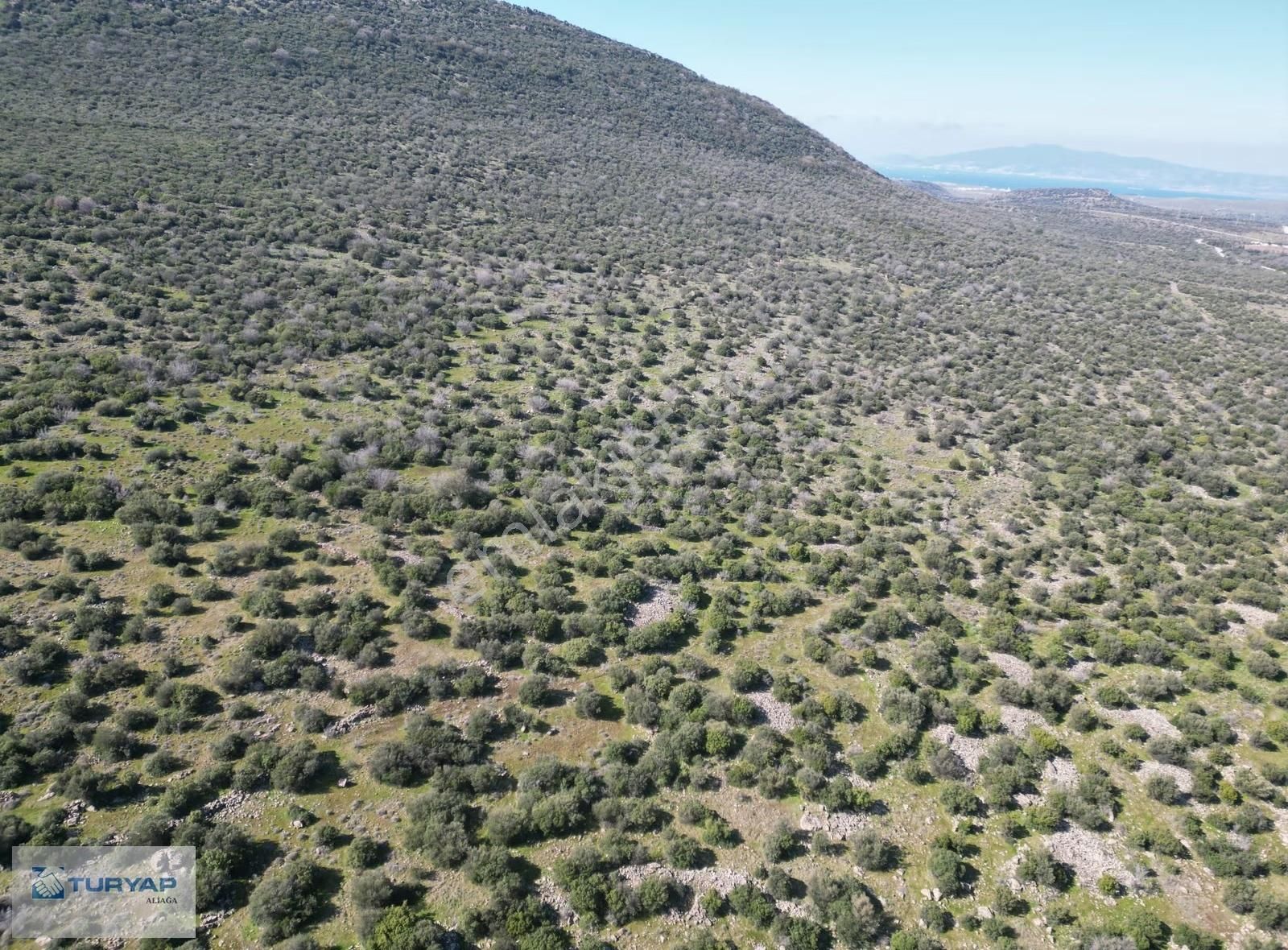 Kalabakta Fırsat Satılık Tarla - Görsel 8