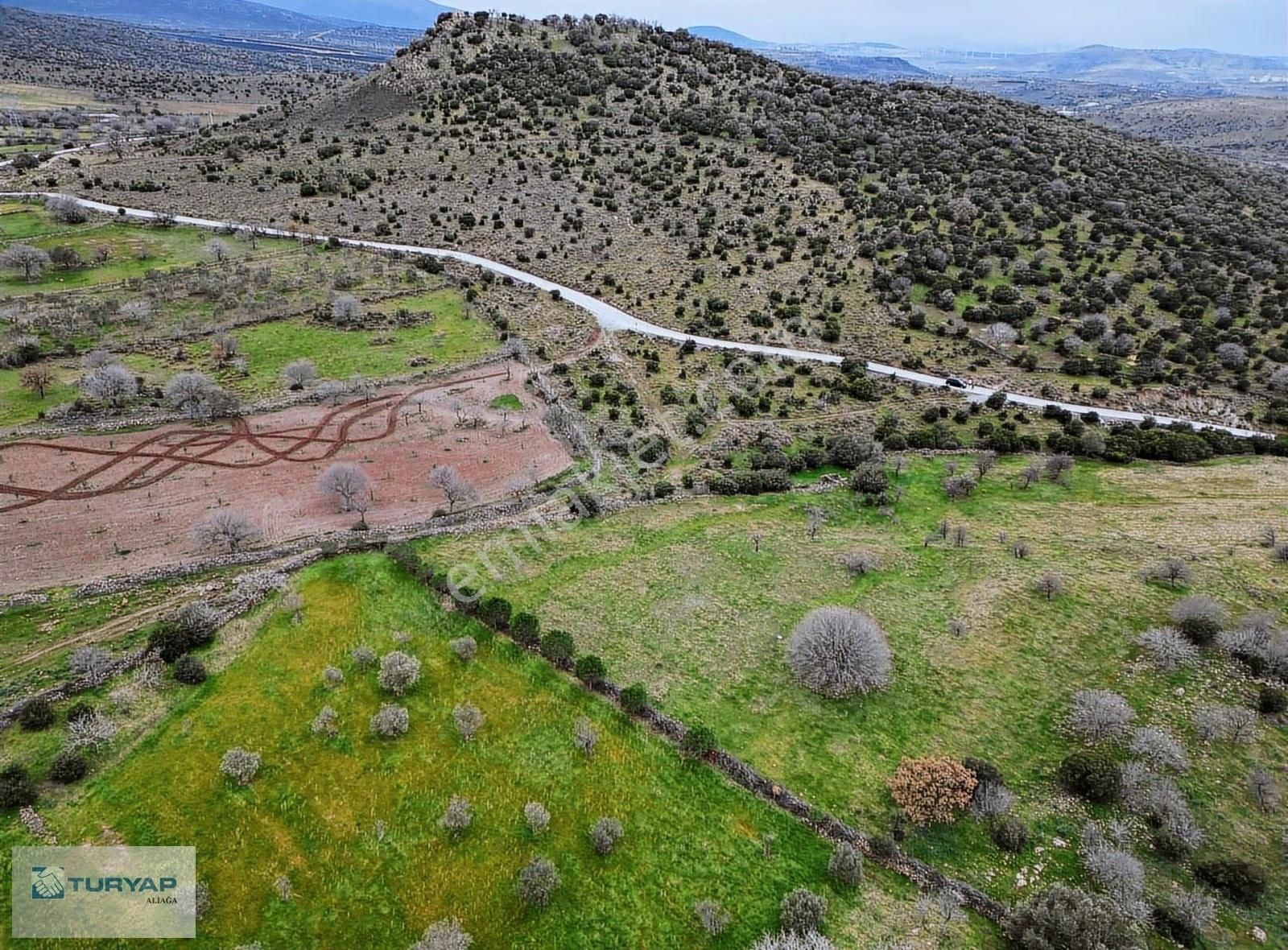 Şakran Cezaevine Yakın Satılık Tarla - Görsel 9