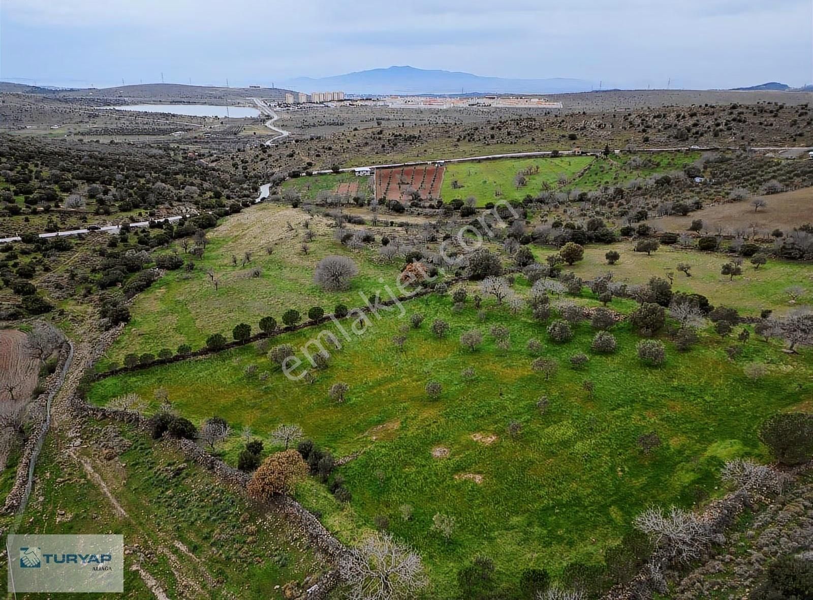 Şakran Cezaevine Yakın Satılık Tarla - Görsel 4