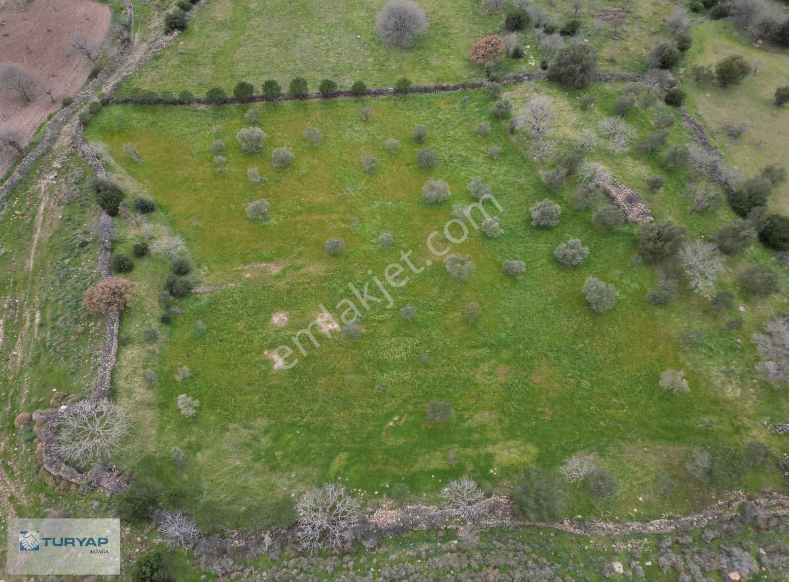 Şakran Cezaevine Yakın Satılık Tarla - Görsel 7