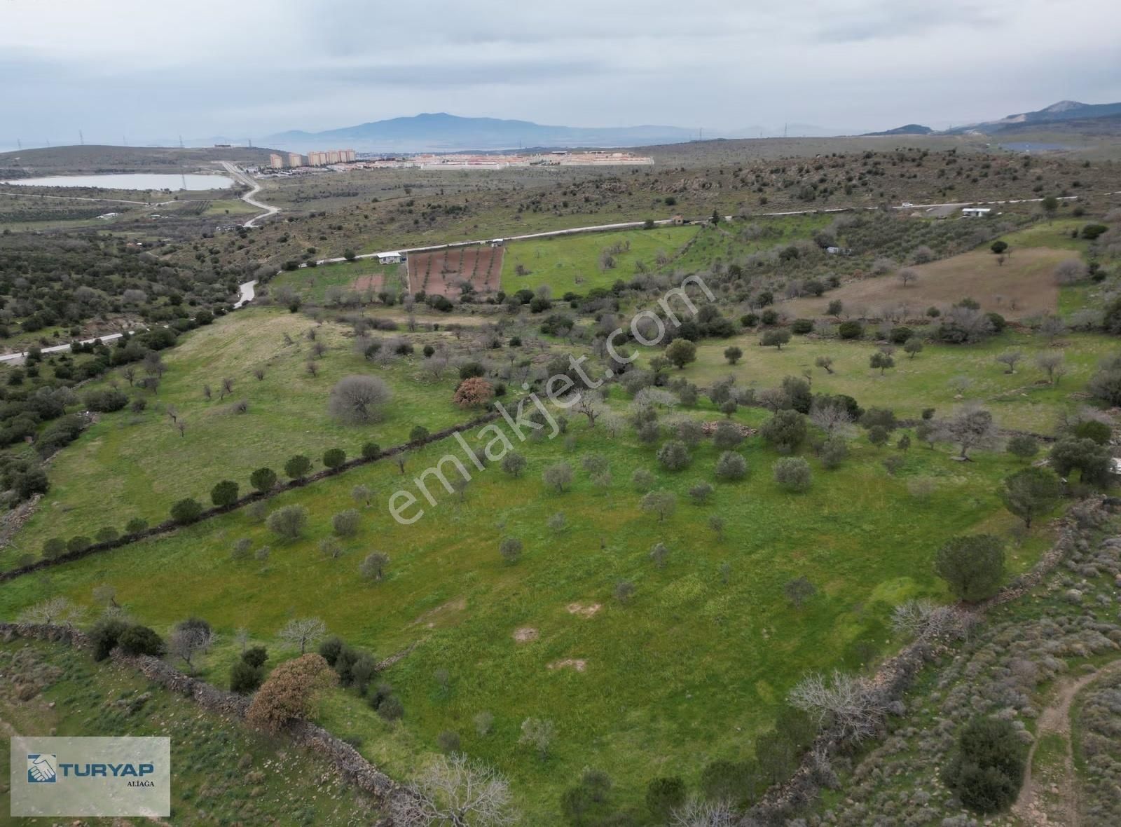 Şakran Cezaevine Yakın Satılık Tarla - Görsel 3