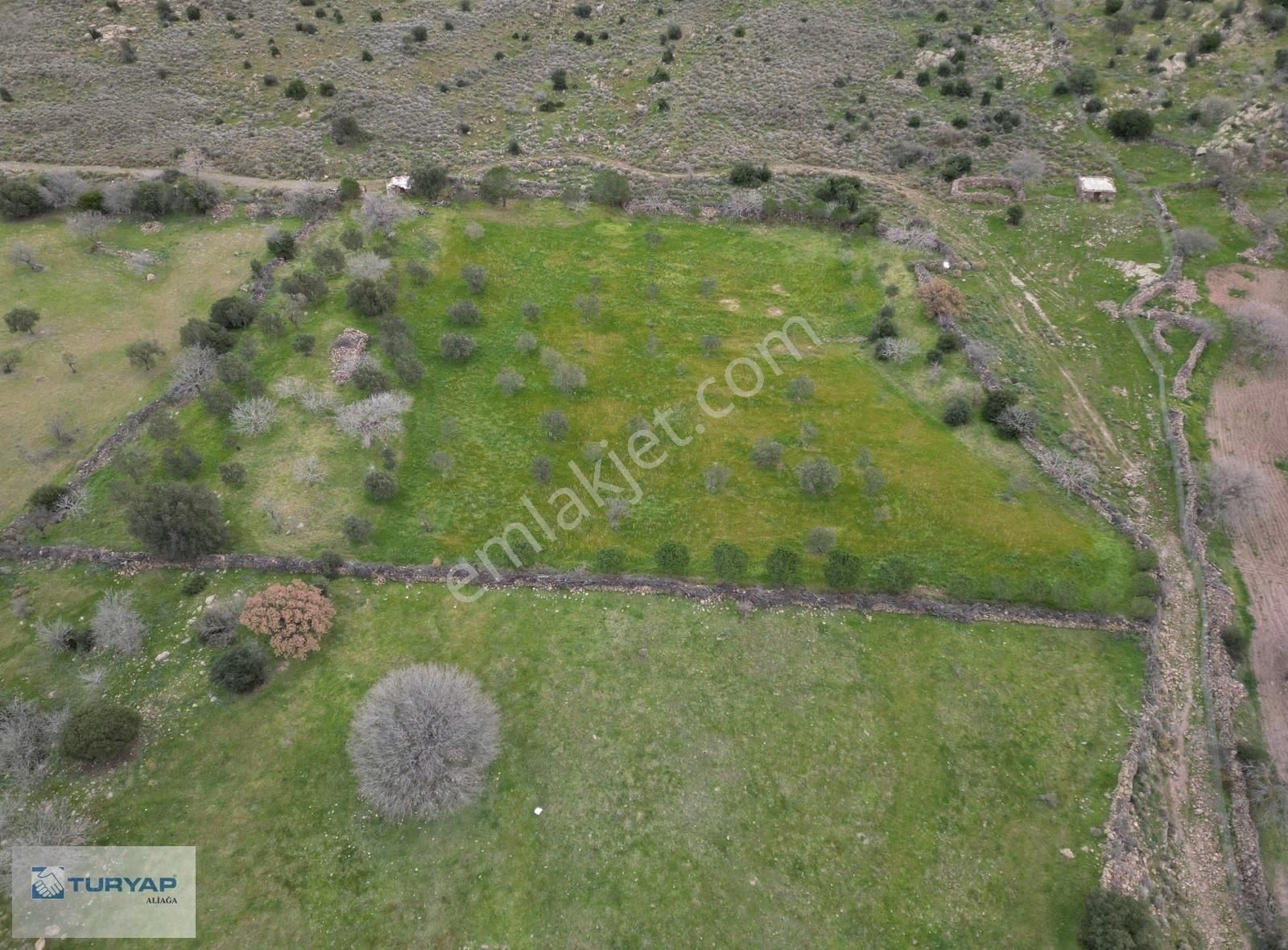 Şakran Cezaevine Yakın Satılık Tarla - Görsel 10