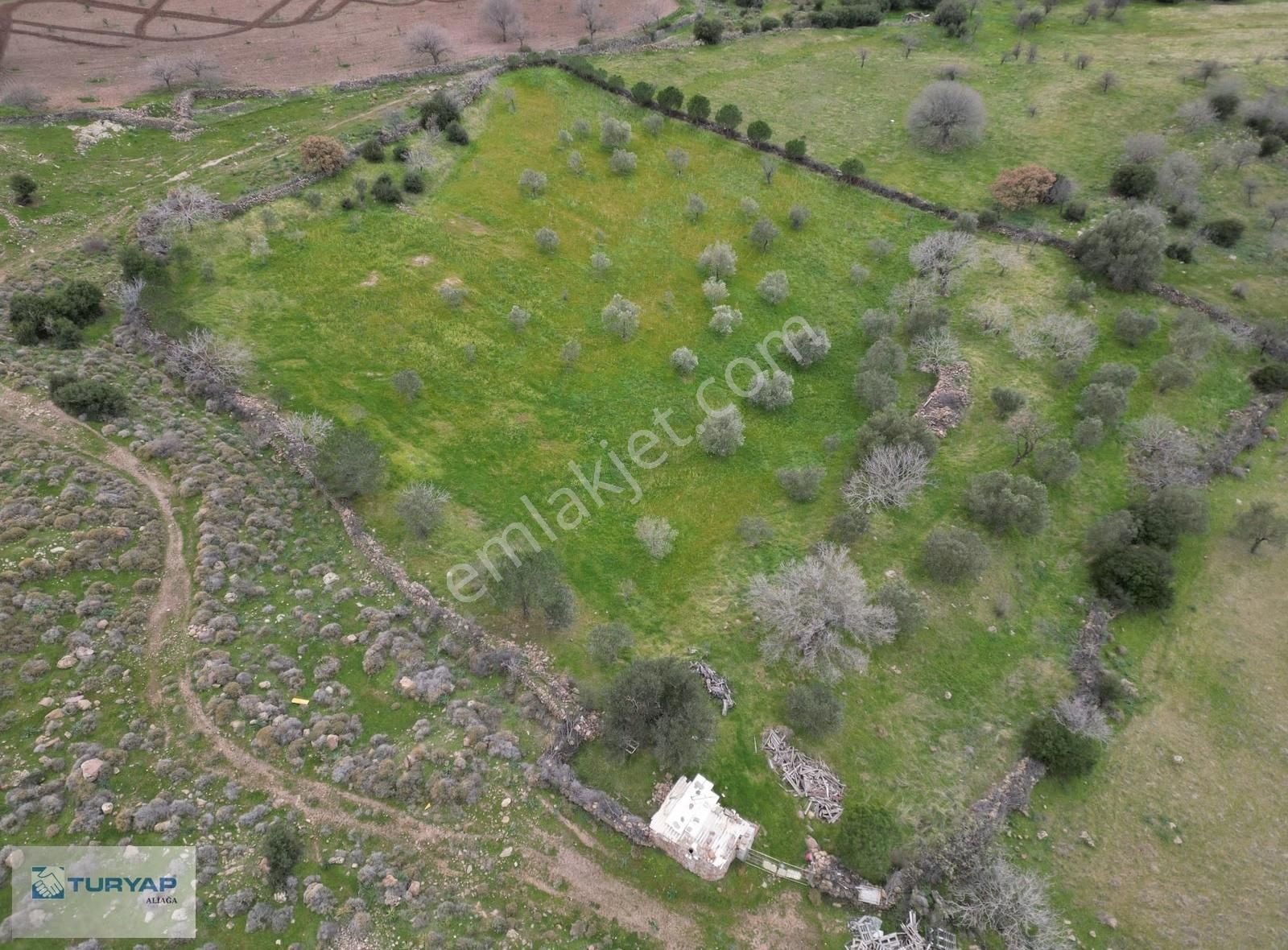 Şakran Cezaevine Yakın Satılık Tarla - Görsel 2