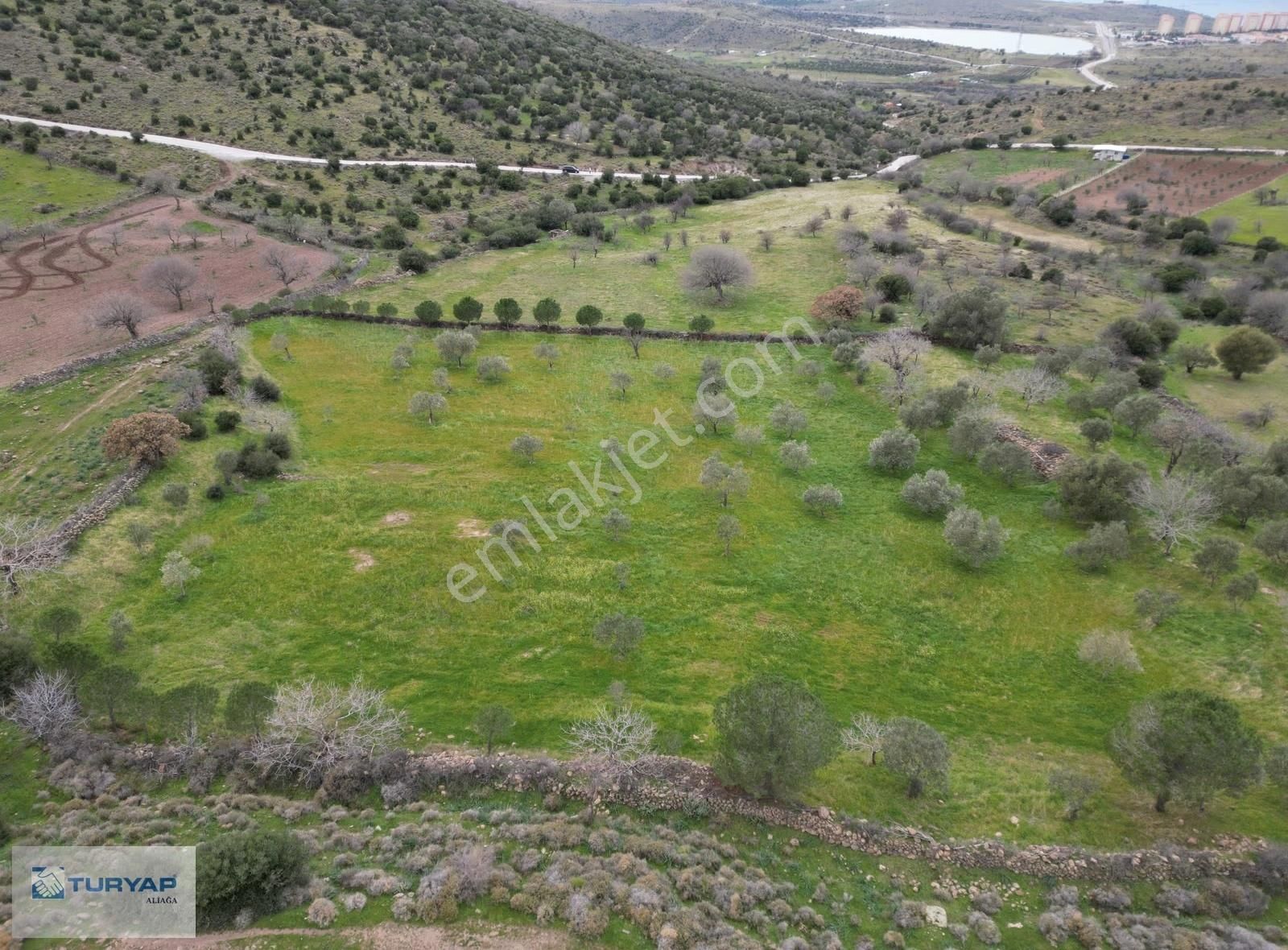 Şakran Cezaevine Yakın Satılık Tarla - Görsel 8