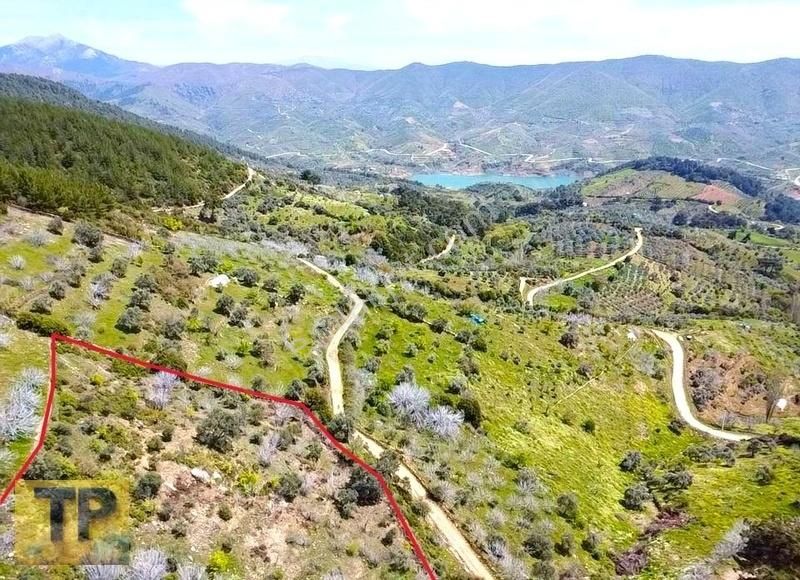 Tire Pınar Emlak Tan Satılık İncir Ve Zeytin Bahçesi - Görsel 6