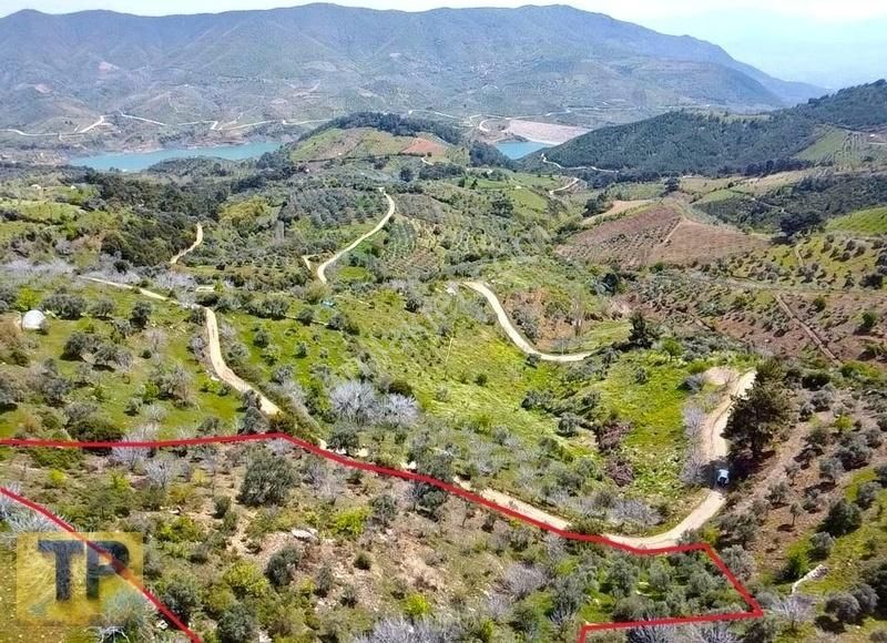 Tire Pınar Emlak Tan Satılık İncir Ve Zeytin Bahçesi - Görsel 11