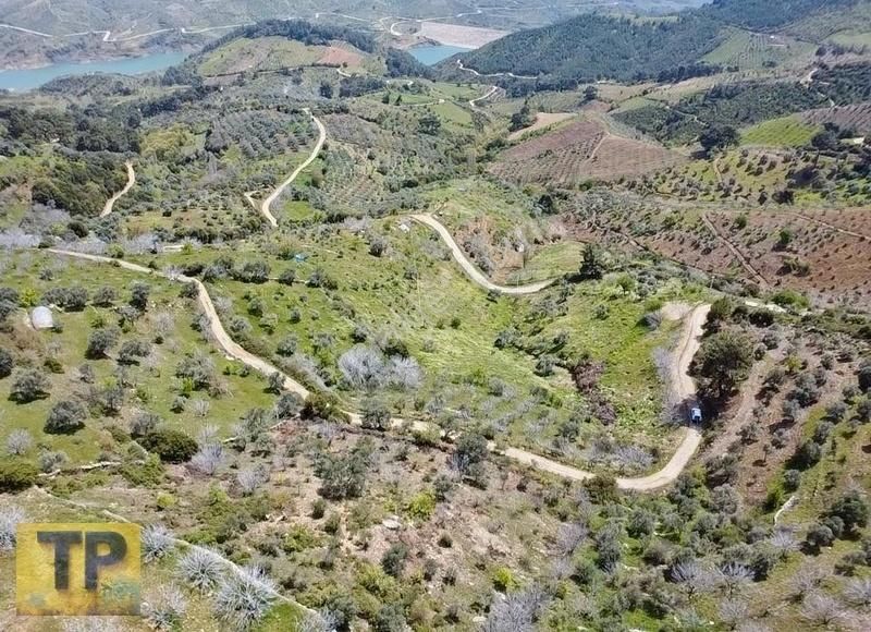 Tire Pınar Emlak Tan Satılık İncir Ve Zeytin Bahçesi - Görsel 8