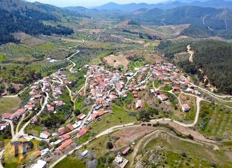 Tire Pınar Emlak Tan Satılık İncir Ve Zeytin Bahçesi - Görsel 7