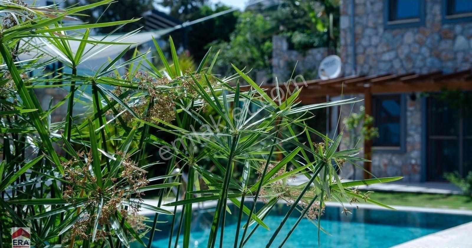 Datça Kargı Koyunda Kiralık 110 M² 3+1 Havuzlu Villa - Görsel 4