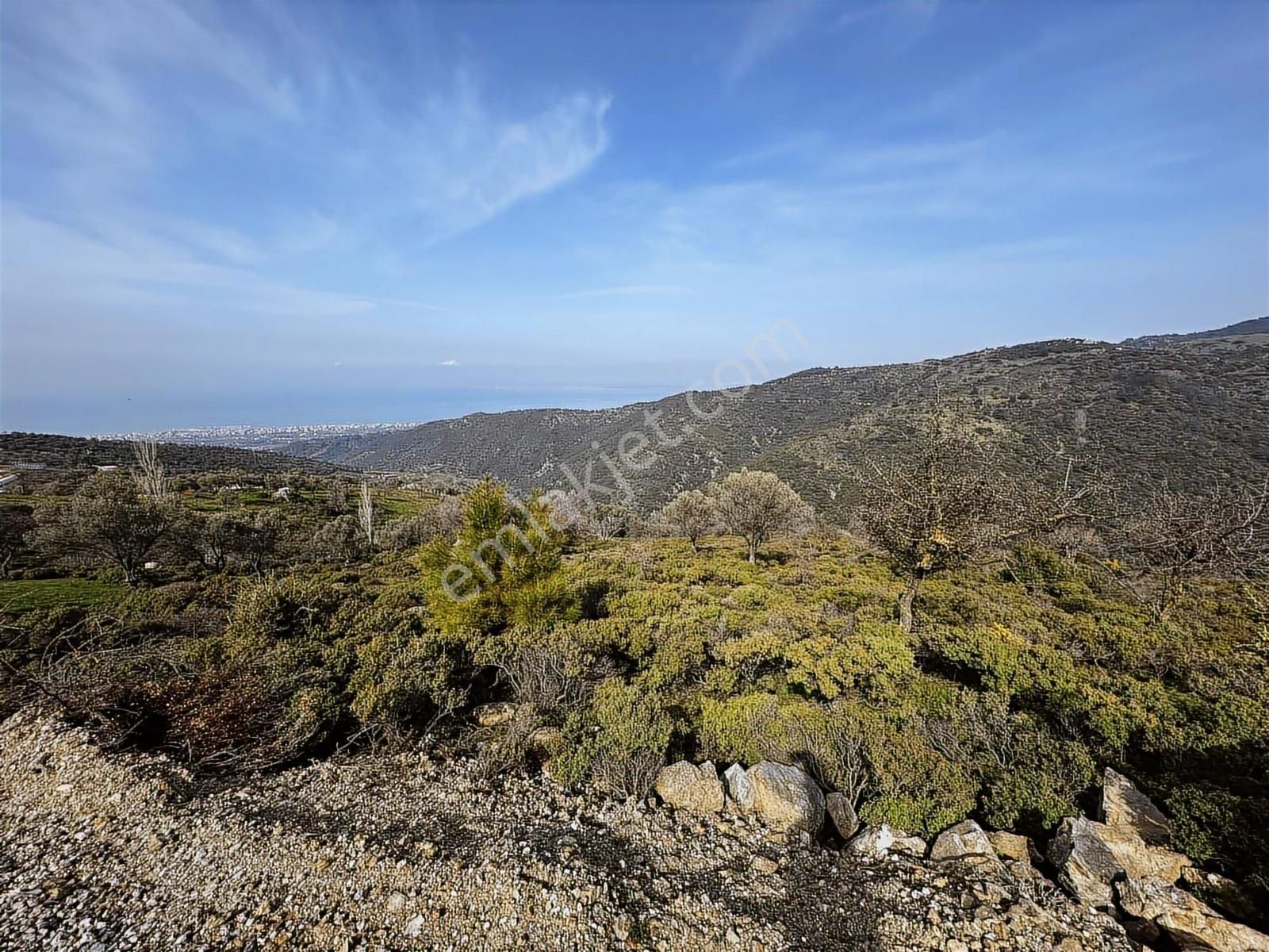 İzmir Güzelbahçe'de Deniz Manzaralı 16.041 M² Satılık Arsa - Görsel 29