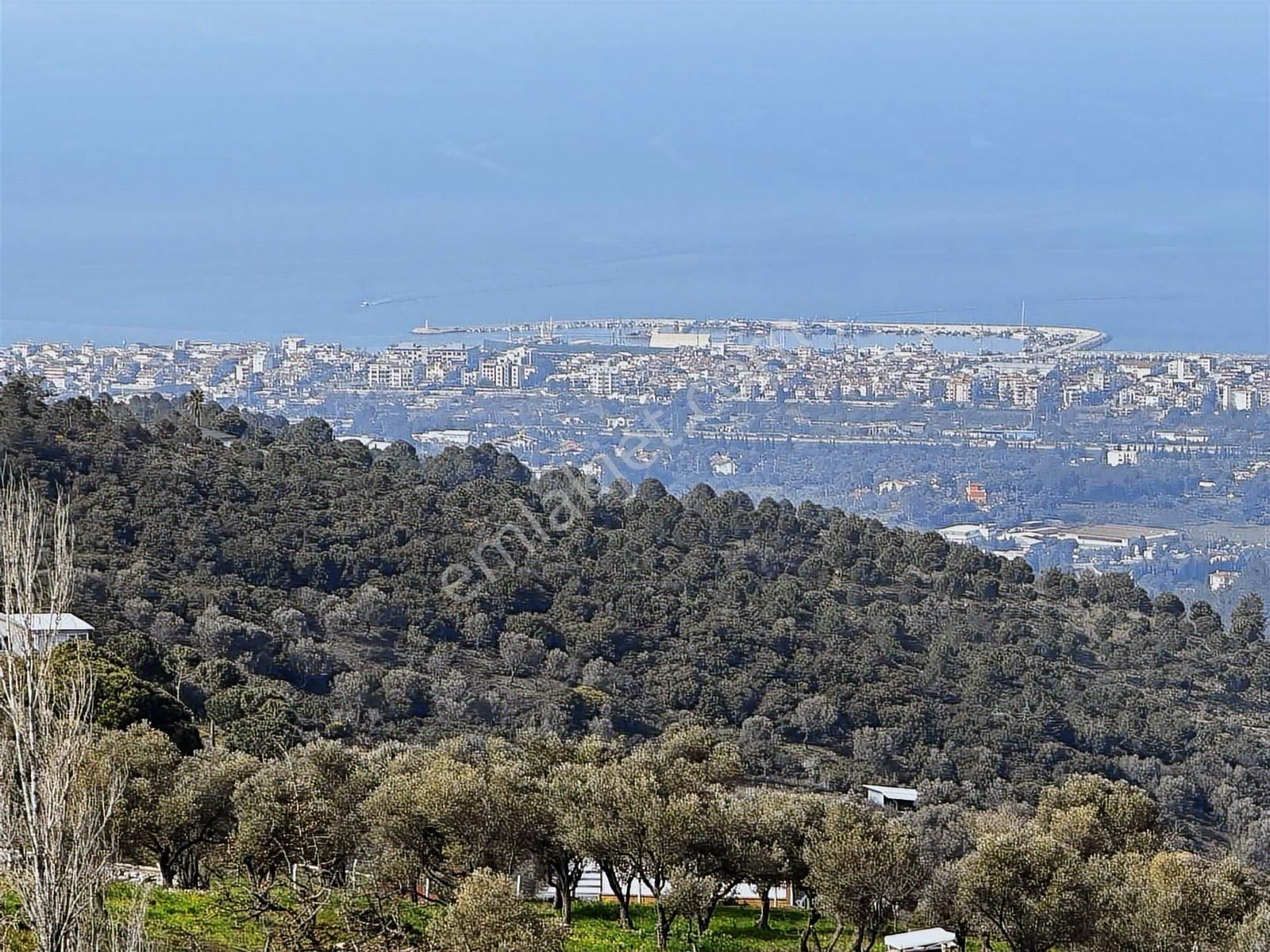 İzmir Güzelbahçe'de Deniz Manzaralı 16.041 M² Satılık Arsa - Görsel 18