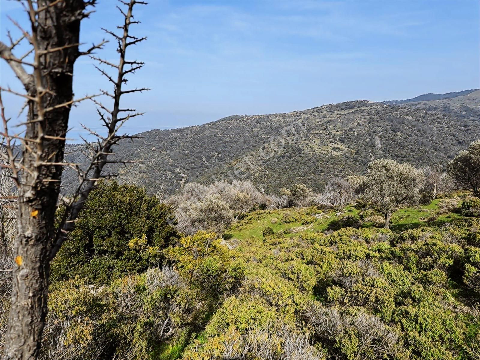 İzmir Güzelbahçe'de Deniz Manzaralı 16.041 M² Satılık Arsa - Görsel 27