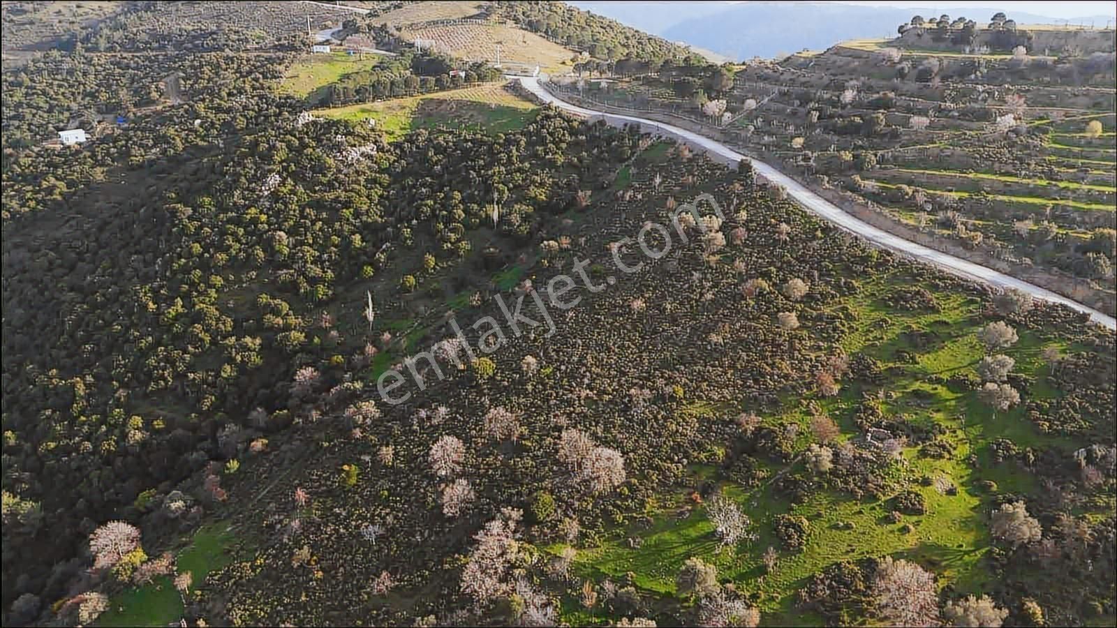 İzmir Güzelbahçe'de Deniz Manzaralı 16.041 M² Satılık Arsa - Görsel 16