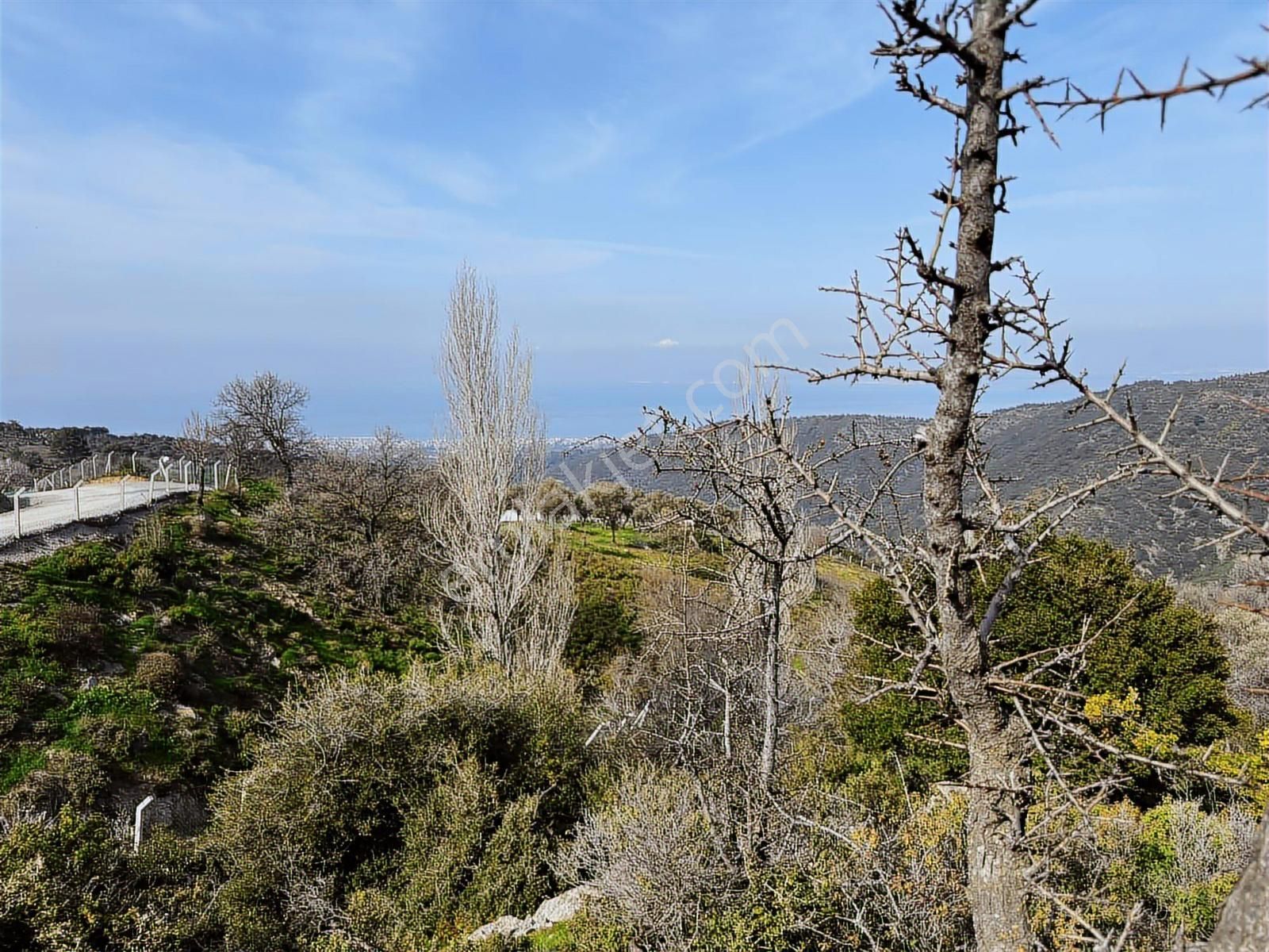 İzmir Güzelbahçe'de Deniz Manzaralı 16.041 M² Satılık Arsa - Görsel 28