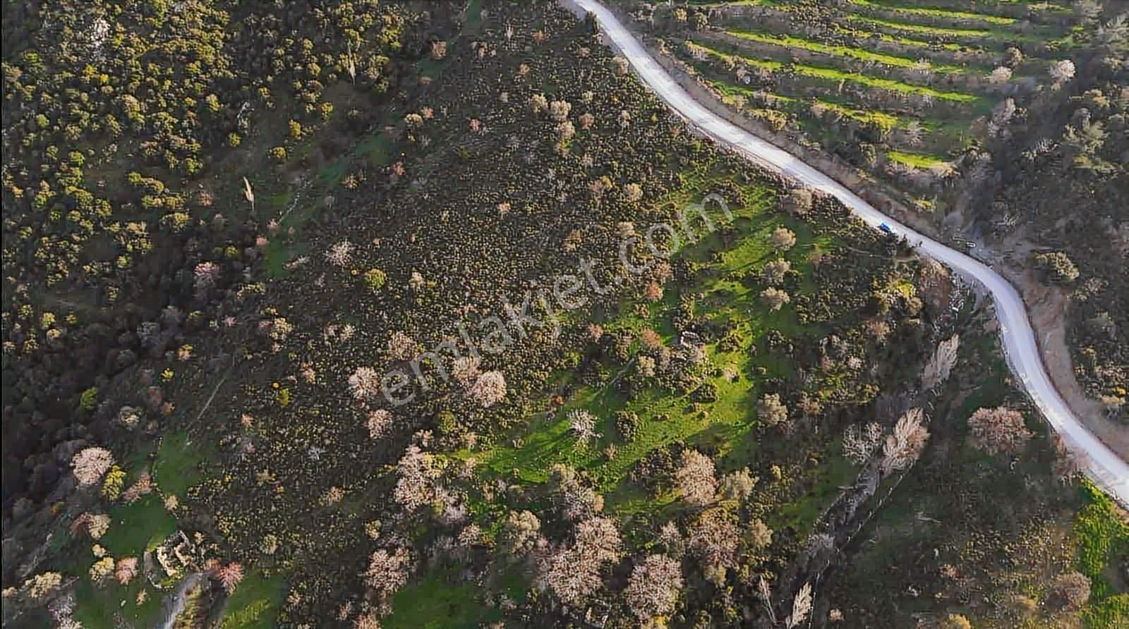 İzmir Güzelbahçe'de Deniz Manzaralı 16.041 M² Satılık Arsa - Görsel 33