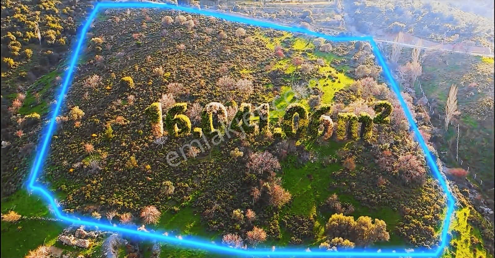 İzmir Güzelbahçe'de Deniz Manzaralı 16.041 M² Satılık Arsa - Görsel 30