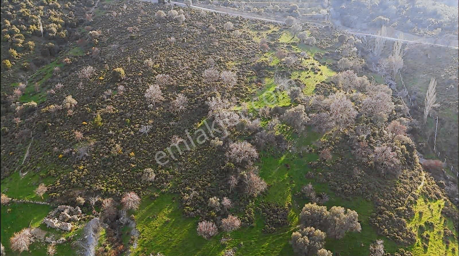 İzmir Güzelbahçe'de Deniz Manzaralı 16.041 M² Satılık Arsa - Görsel 17