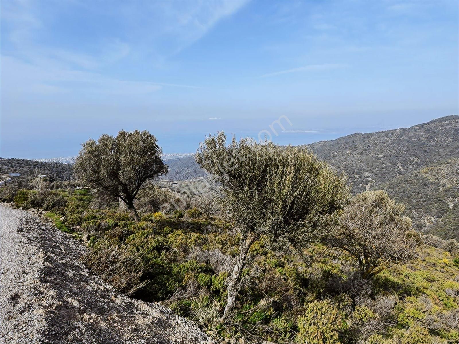 İzmir Güzelbahçe'de Deniz Manzaralı 16.041 M² Satılık Arsa - Görsel 23