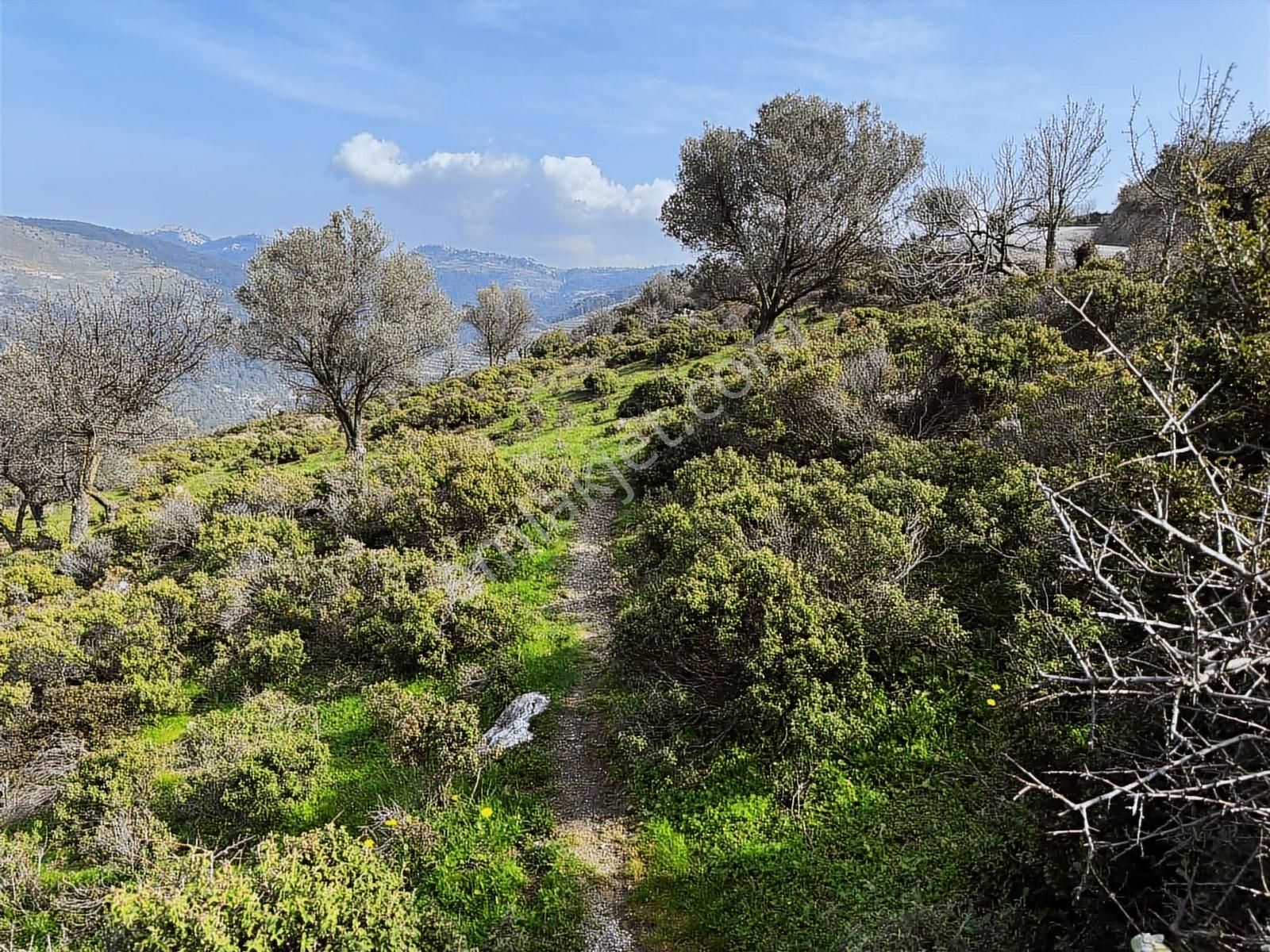 İzmir Güzelbahçe'de Deniz Manzaralı 16.041 M² Satılık Arsa - Görsel 26