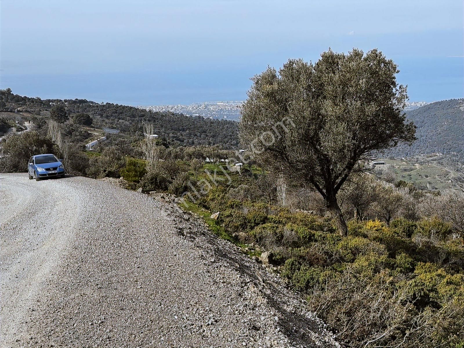 İzmir Güzelbahçe'de Deniz Manzaralı 16.041 M² Satılık Arsa - Görsel 8