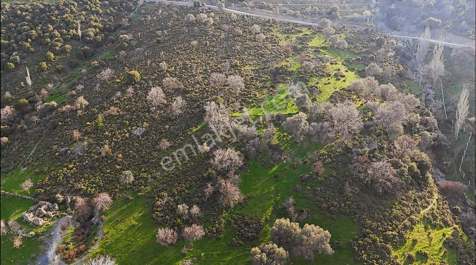 İzmir Güzelbahçe'de Deniz Manzaralı 16.041 M² Satılık Arsa - Görsel 31