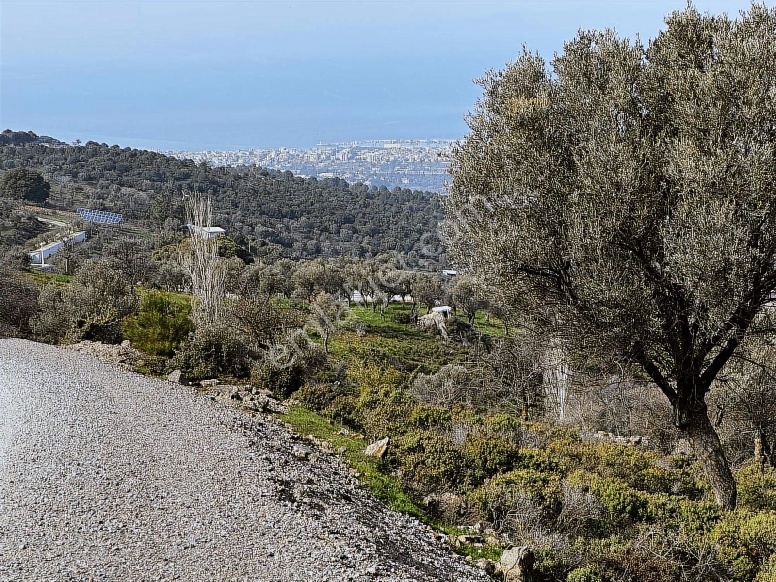 İzmir Güzelbahçe'de Deniz Manzaralı 16.041 M² Satılık Arsa - Görsel 4