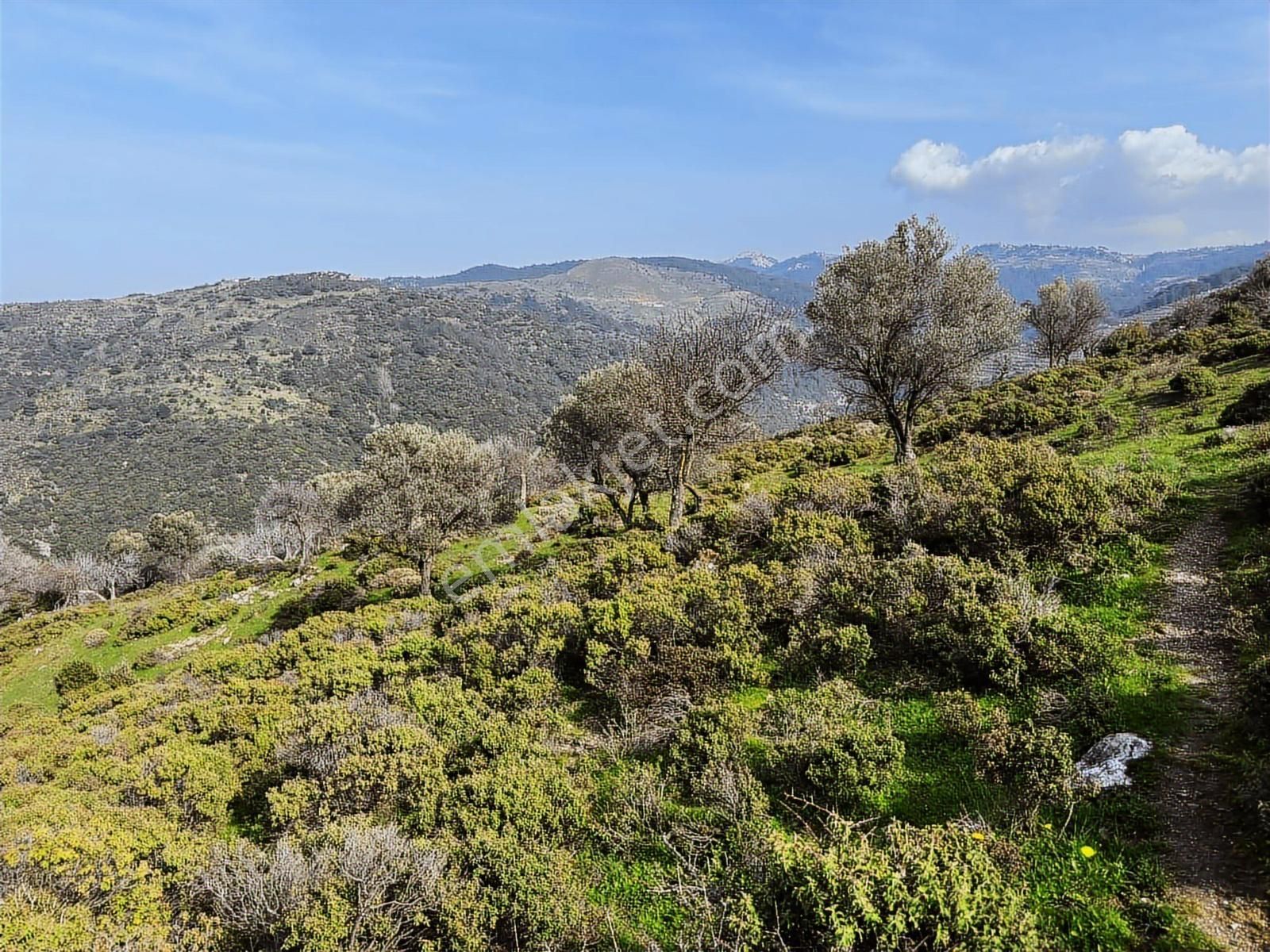 İzmir Güzelbahçe'de Deniz Manzaralı 16.041 M² Satılık Arsa - Görsel 34