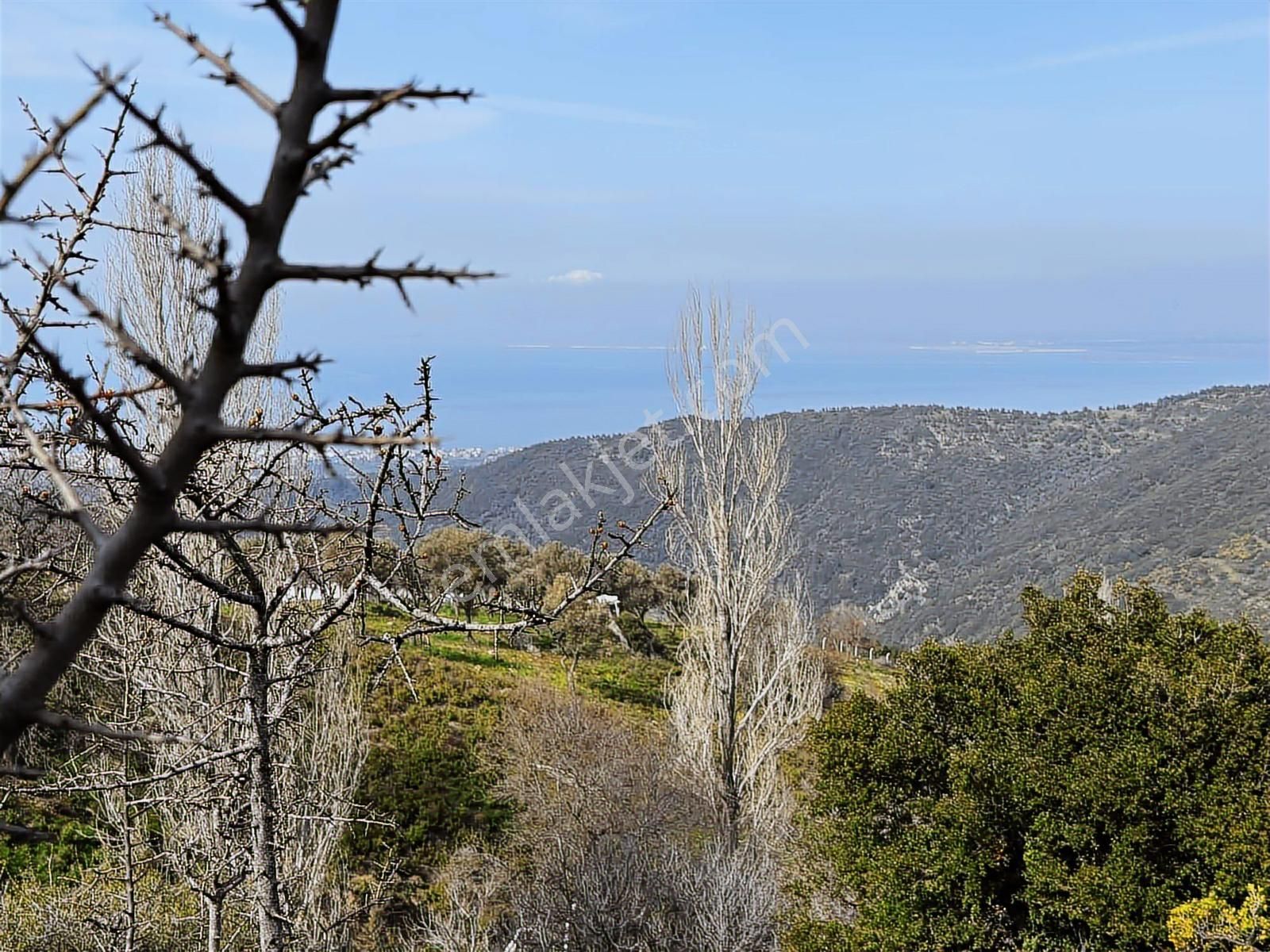İzmir Güzelbahçe'de Deniz Manzaralı 16.041 M² Satılık Arsa - Görsel 12