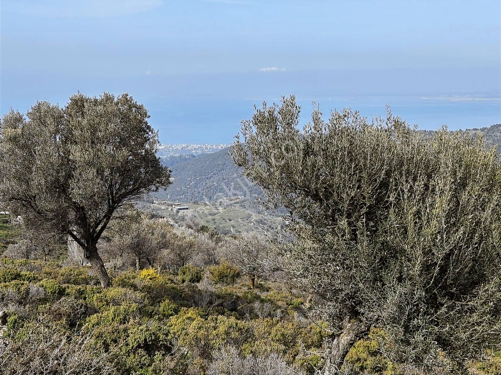 İzmir Güzelbahçe'de Deniz Manzaralı 16.041 M² Satılık Arsa - Görsel 22