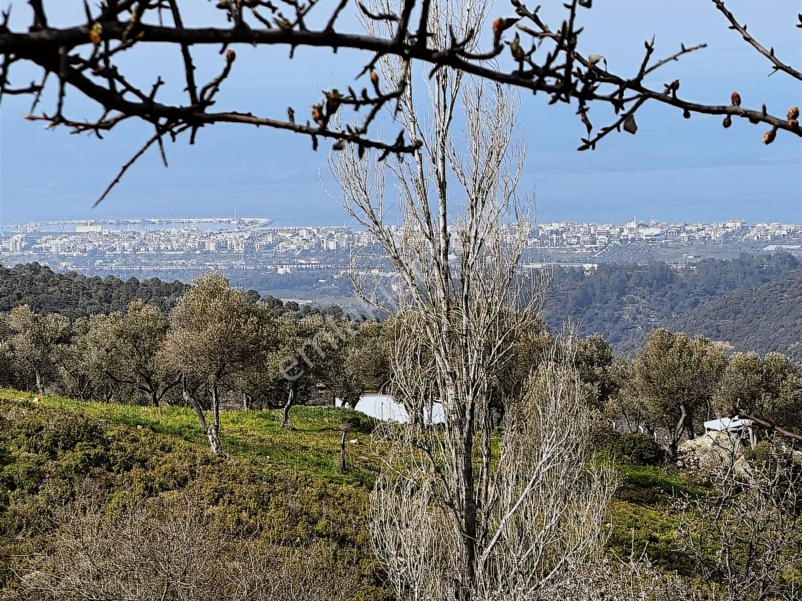 İzmir Güzelbahçe'de Deniz Manzaralı 16.041 M² Satılık Arsa - Görsel 11