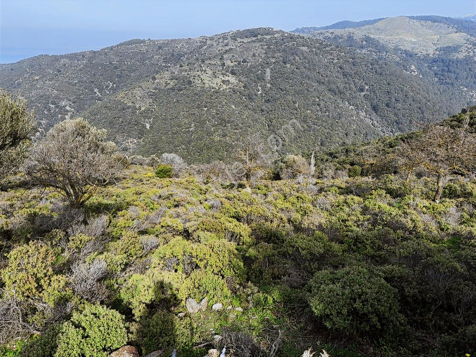 İzmir Güzelbahçe'de Deniz Manzaralı 16.041 M² Satılık Arsa - Görsel 24