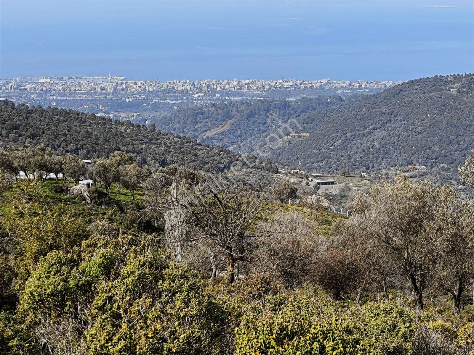 İzmir Güzelbahçe'de Deniz Manzaralı 16.041 M² Satılık Arsa - Görsel 5