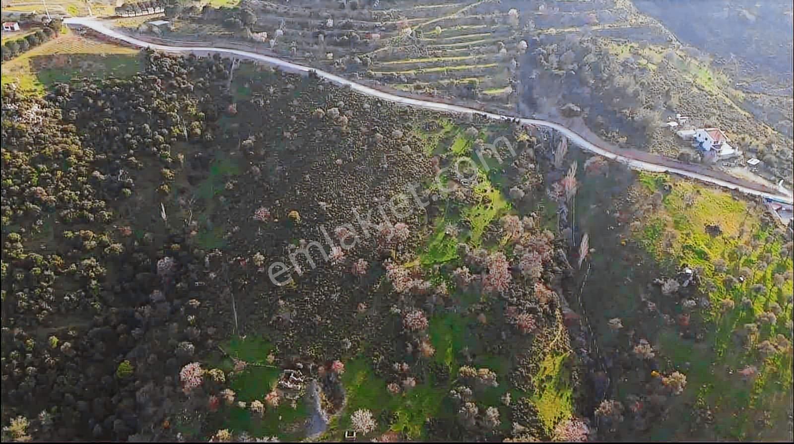 İzmir Güzelbahçe'de Deniz Manzaralı 16.041 M² Satılık Arsa - Görsel 35