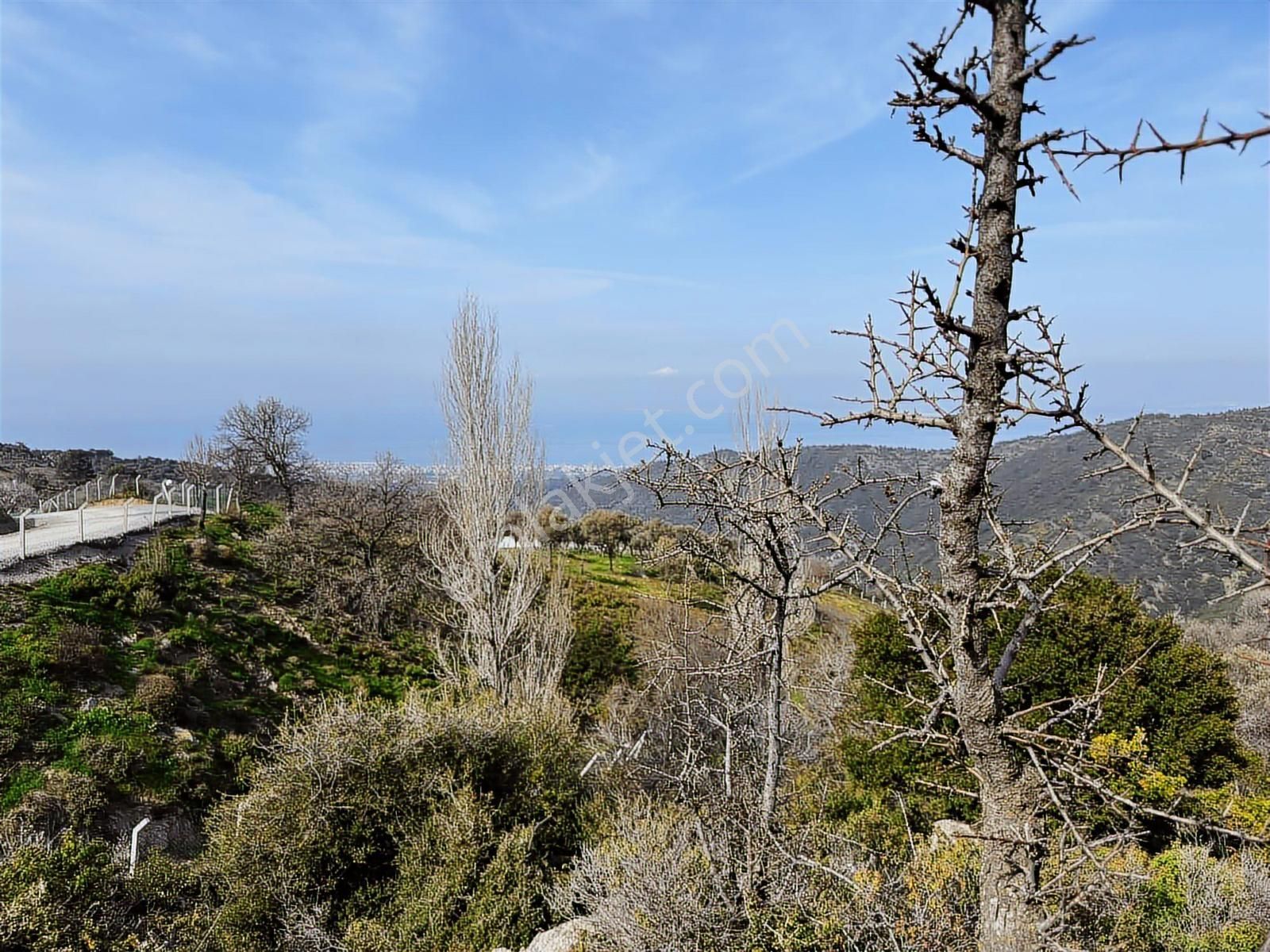 İzmir Güzelbahçe'de Deniz Manzaralı 16.041 M² Satılık Arsa - Görsel 3