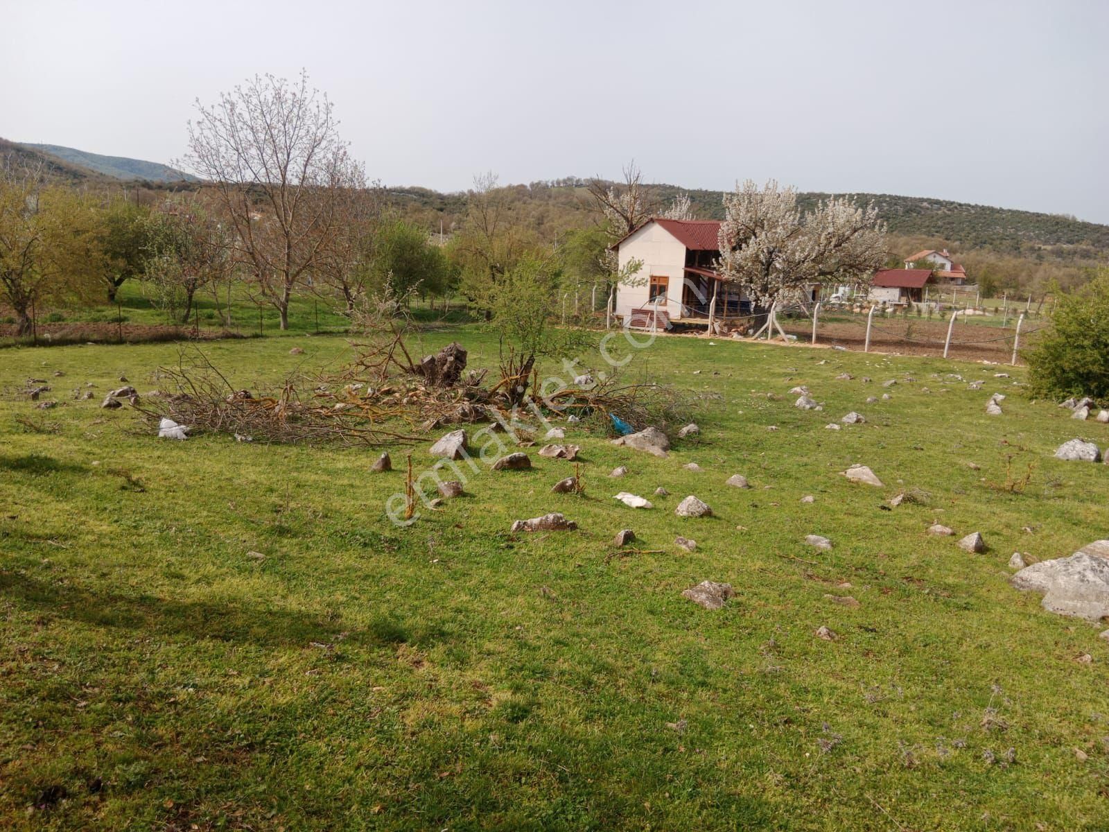 Sahibinden - Görsel 11
