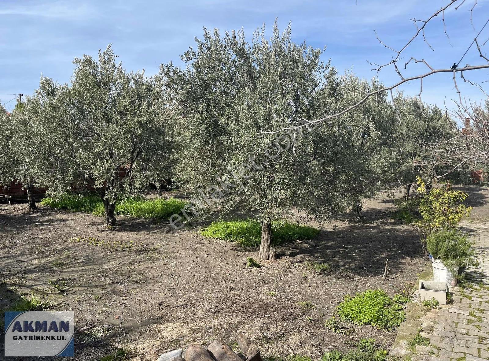 Süleymanlı Mh De 520 M2 Arsanın İçerisinde Müstakil Ev - Görsel 28