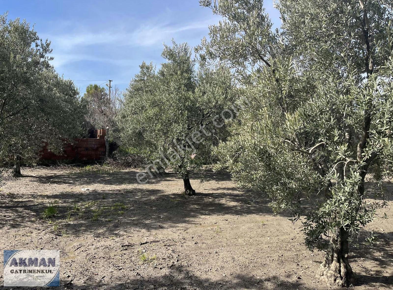 Süleymanlı Mh De 520 M2 Arsanın İçerisinde Müstakil Ev - Görsel 31